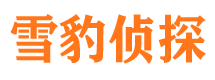 清远市调查公司